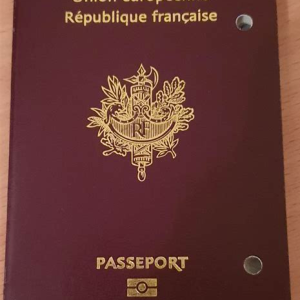 French Passport Online