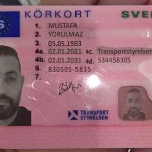 Swedish Driver’s License