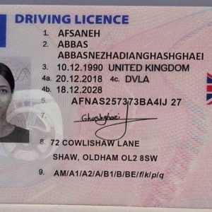 UK Drivers License Online